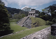Temple of the Count at Palenque Ruins - palenque mayan ruins,palenque mayan temple,mayan temple pictures,mayan ruins photos